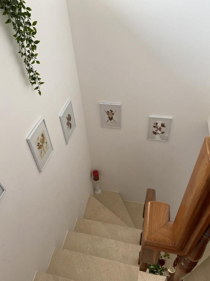 Casa Da Avo Fatima Apartment Góis Екстериор снимка